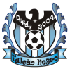 Falcão Negro