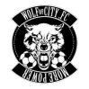 Wolf of City