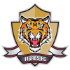 Tigres Futebol Clube