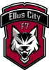 Ellus City Futebol 7