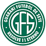 Guarani Futebol 7