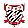 FEAM